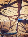 PicsArt_04-30-04.44.44.jpg